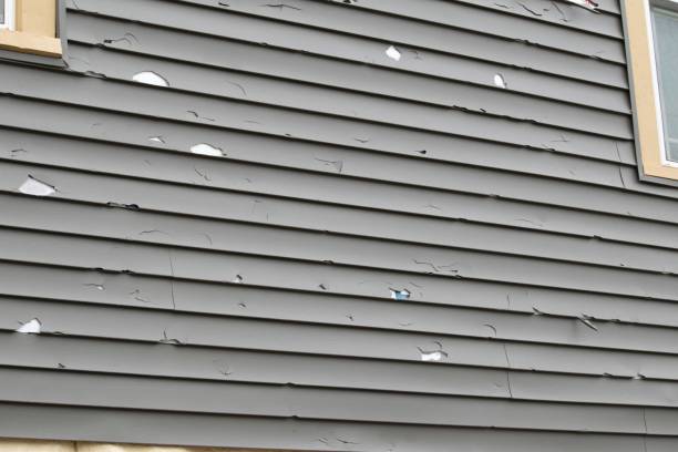 Professional Siding Installation & Repair in Lucasville, OH